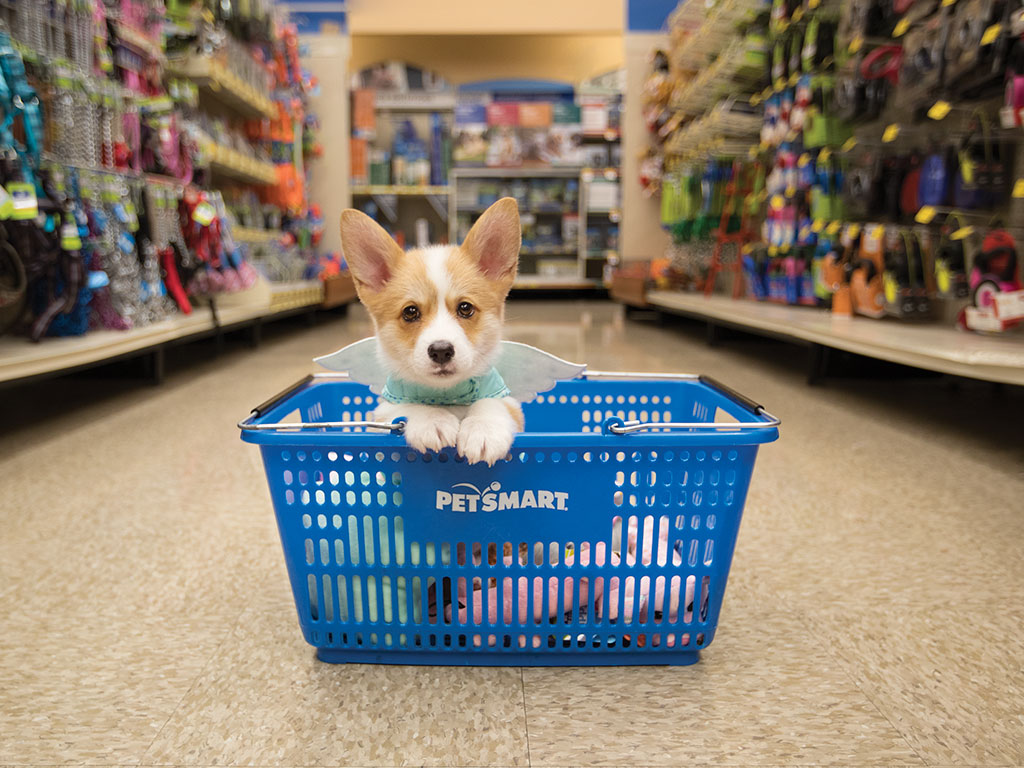 PetSmart Brentwood, TN Store.