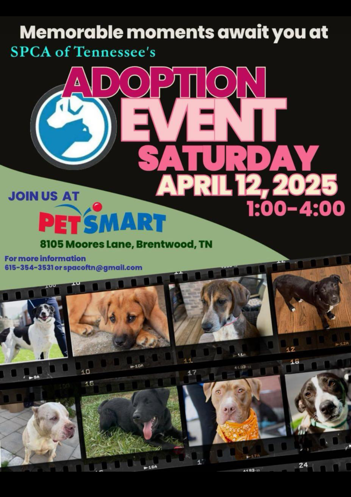 SPCA TN Adoption Event in Brentwood, TN at PetSmart.