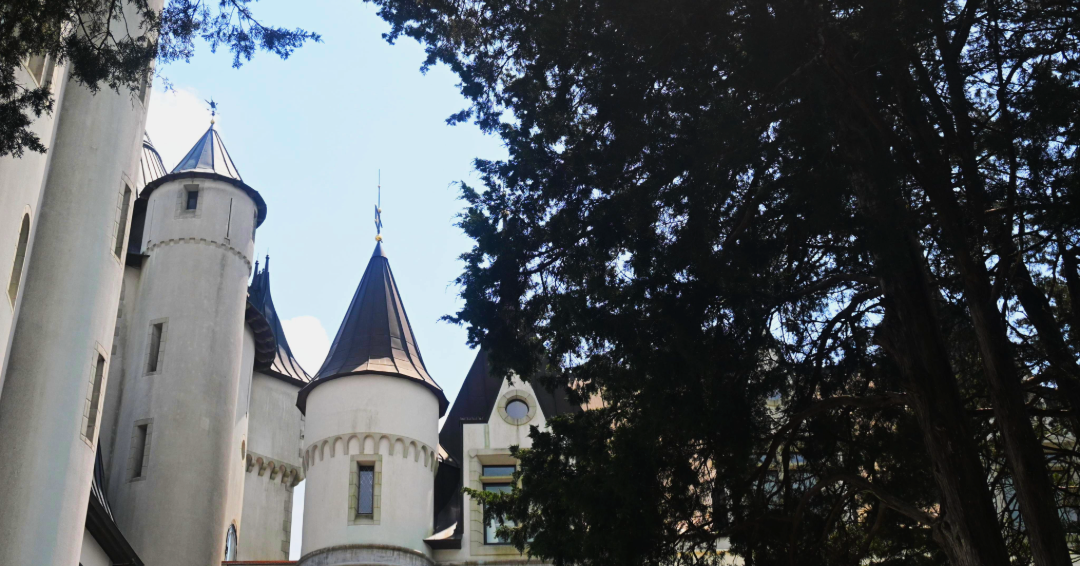 A photo of Castle Gwynn in Arrington, Tennessee, peeking through the trees at the towers. 