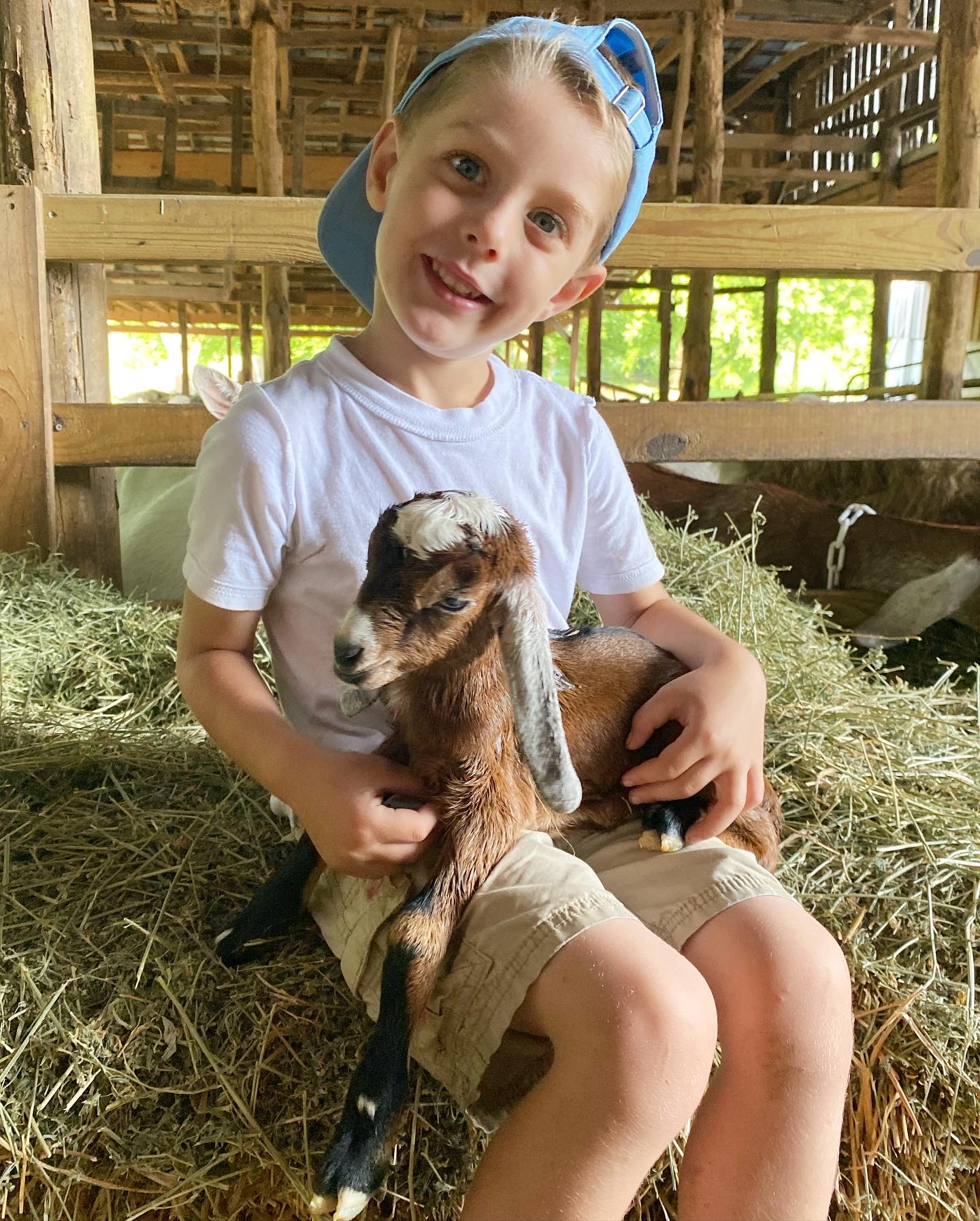 Baby Goat Cuddling in Franklin, TN, come to the farm to spend time learning about the goats and other animals, petting and cuddling the baby goats and enjoy spending time on the farm. Come anytime during the time frame and date we have scheduled and stay for as long as you like. Join in on a guided educational tour at 11am on the mornings we are open. We will have our goat milk products, as well as snacks and water for visitors to purchase. Tickets are $12 for adults and children 3 and over. Children 2 and under are free.