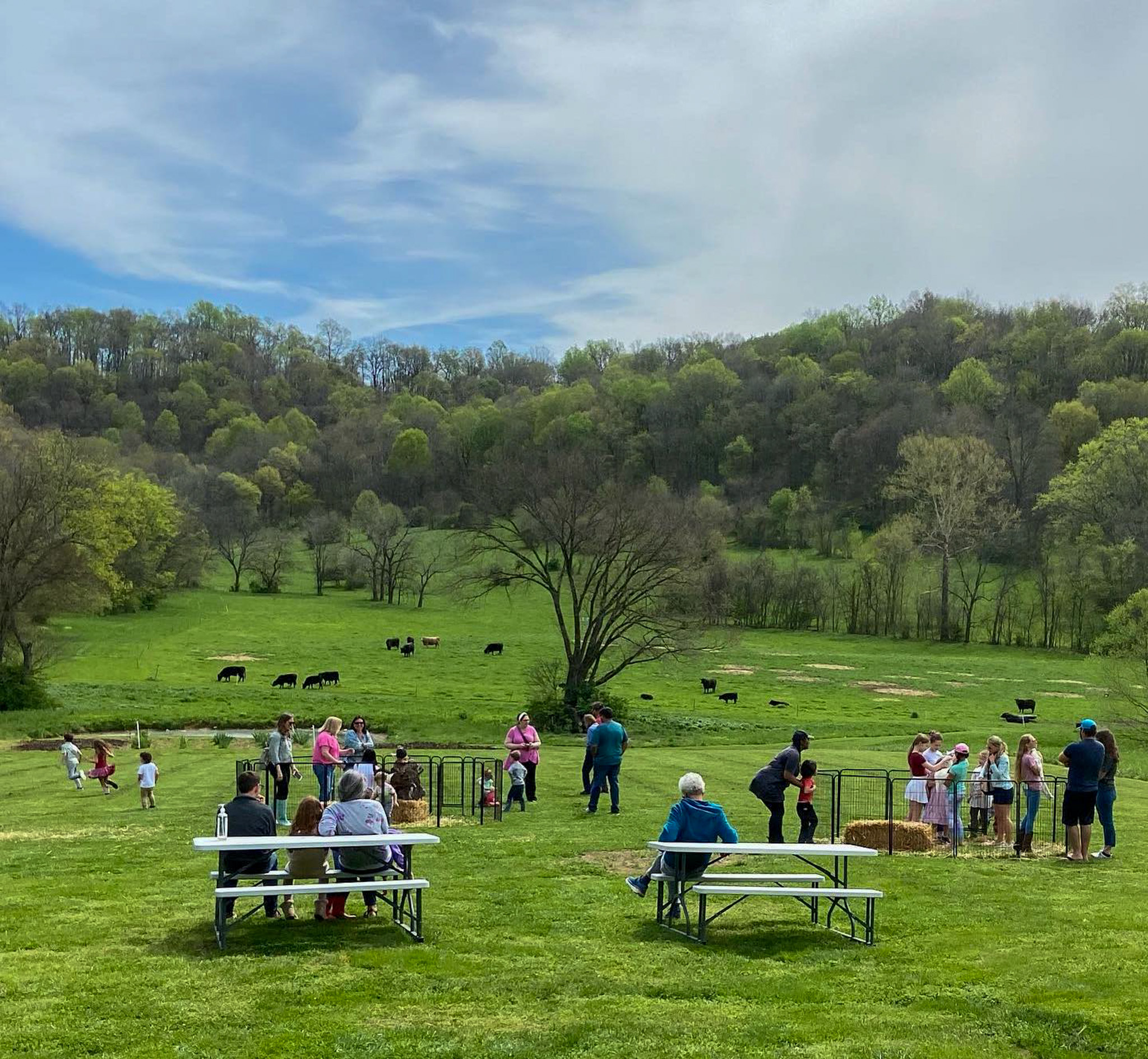 Noble Springs Dairy Franklin, TN.