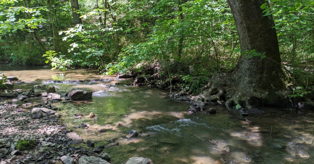 A creek at Montgomery Bell State Park, a great place for families to hike and camp near Williamson County, Tennessee.