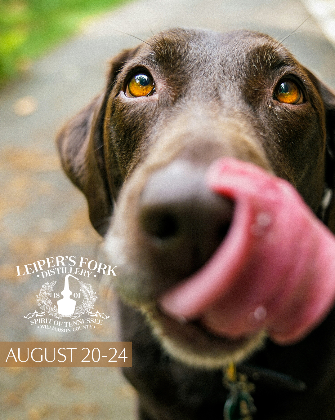 TN Whiskey Tail Leipers Fork