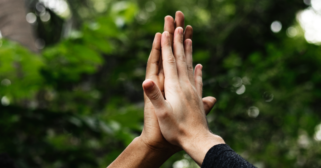 Friends high five, representing abundant life, quality time, and fulfilment in Williamson County, Tennessee. 