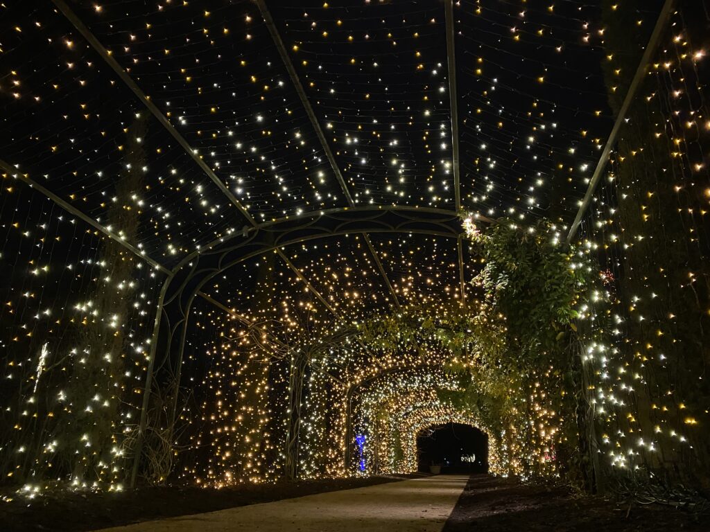 Cheekwood-Holiday-LIGHTS-Nashville-TN-Courtesy-of-Cheekwood-Estate-Gardens.