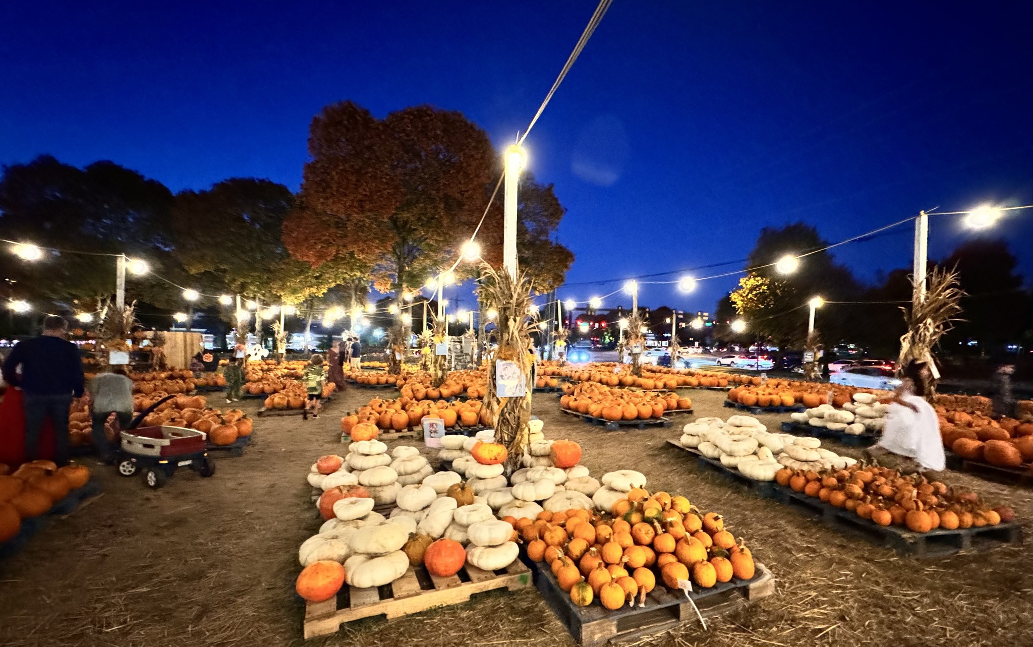 The Pumpkin Patch Franklin, TN Cooper Trooper Foundation.