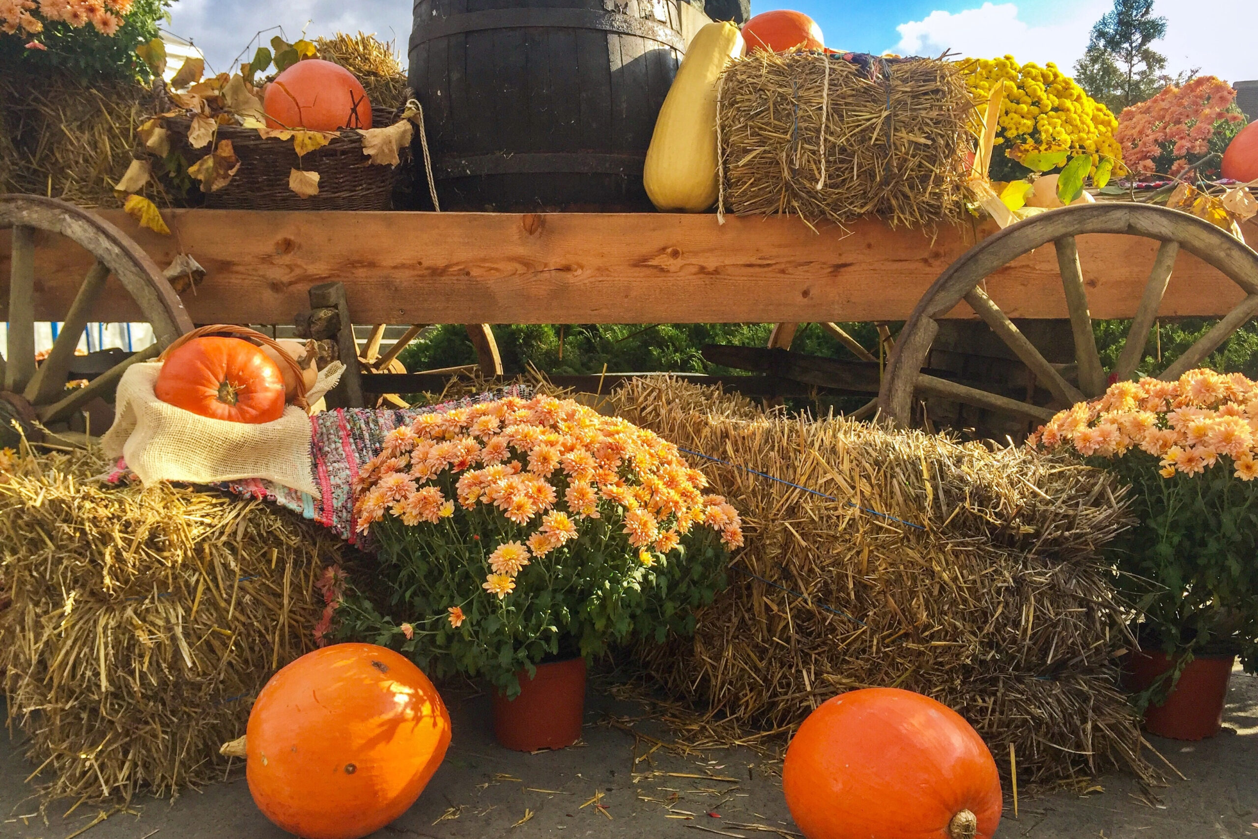 Fall Decor and Pumpkins in Franklin TN