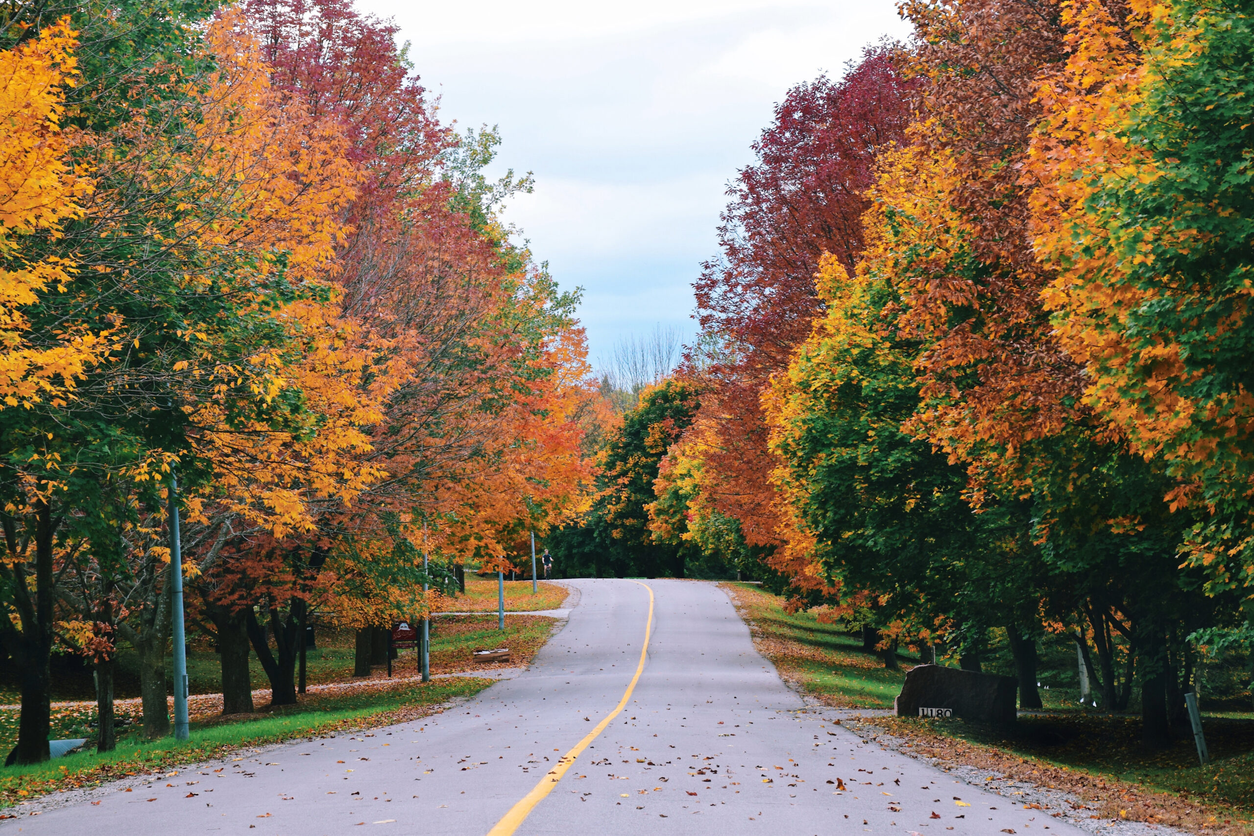 Leaf Peeping in Franklin TN and Williamson County
