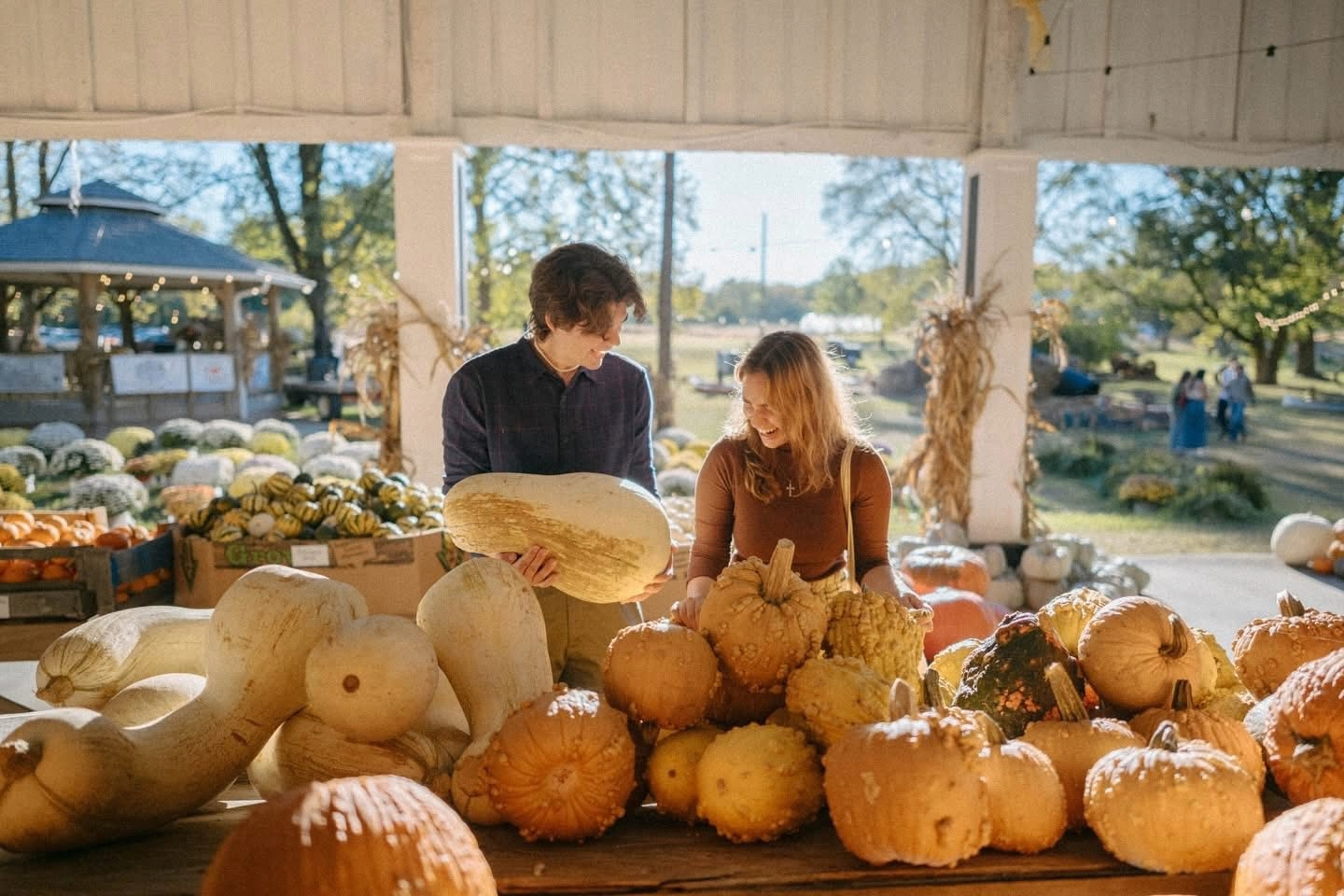 Nashville Fall Festival with hayrides, a pumpkin patch and corn maze.