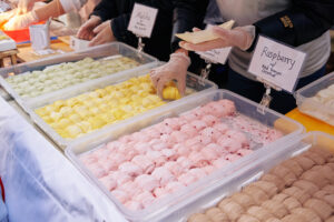 Panda Fest Nashville TN 27