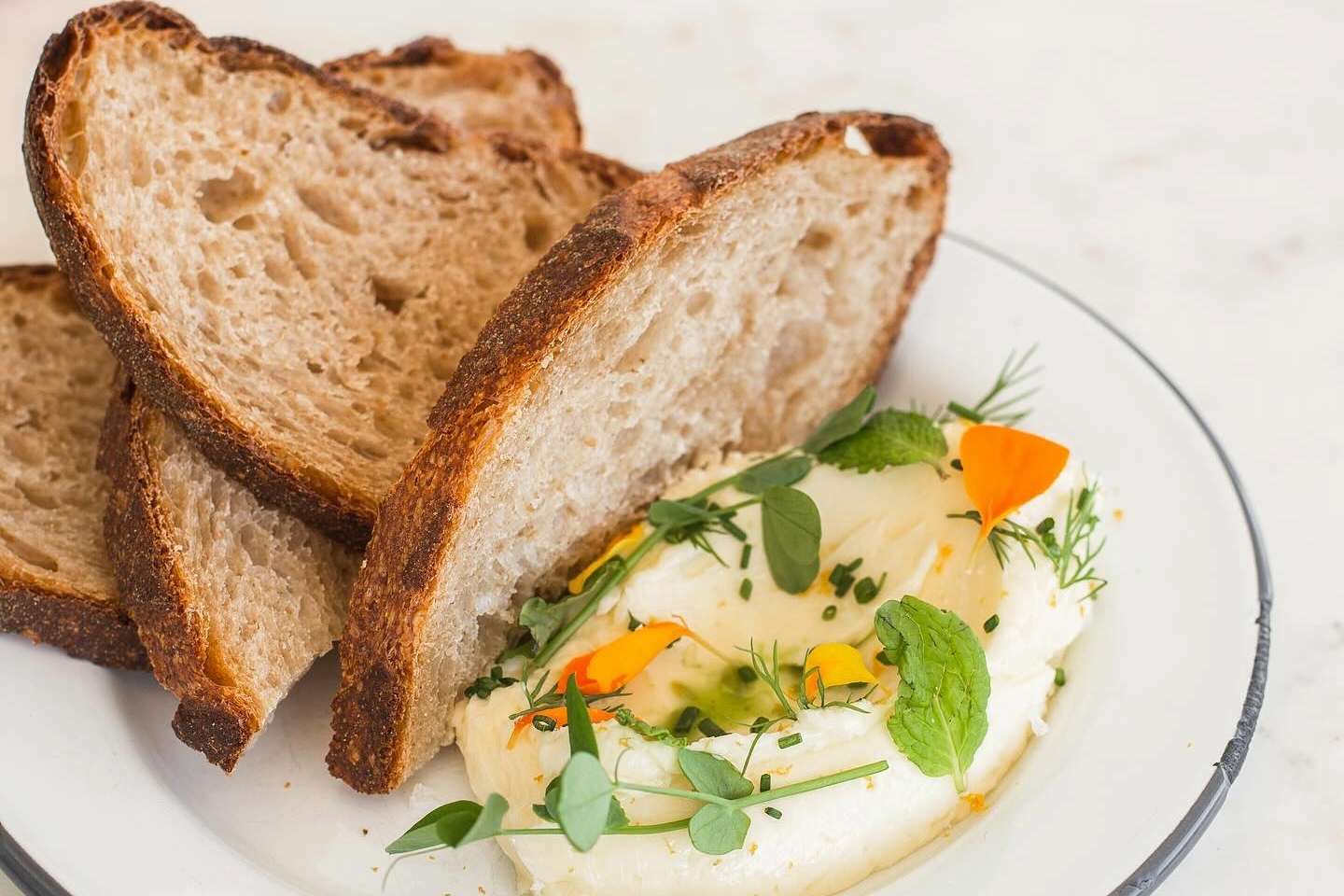 Perenn Bakery Berry Hill Nashville TN Perenn Bakery Berry Hill Nashville TN