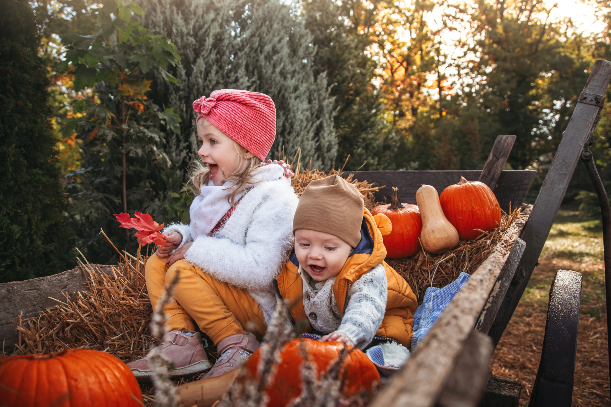 Pumpkin Patches Hayrides and Corn mazes in Franklin TN
