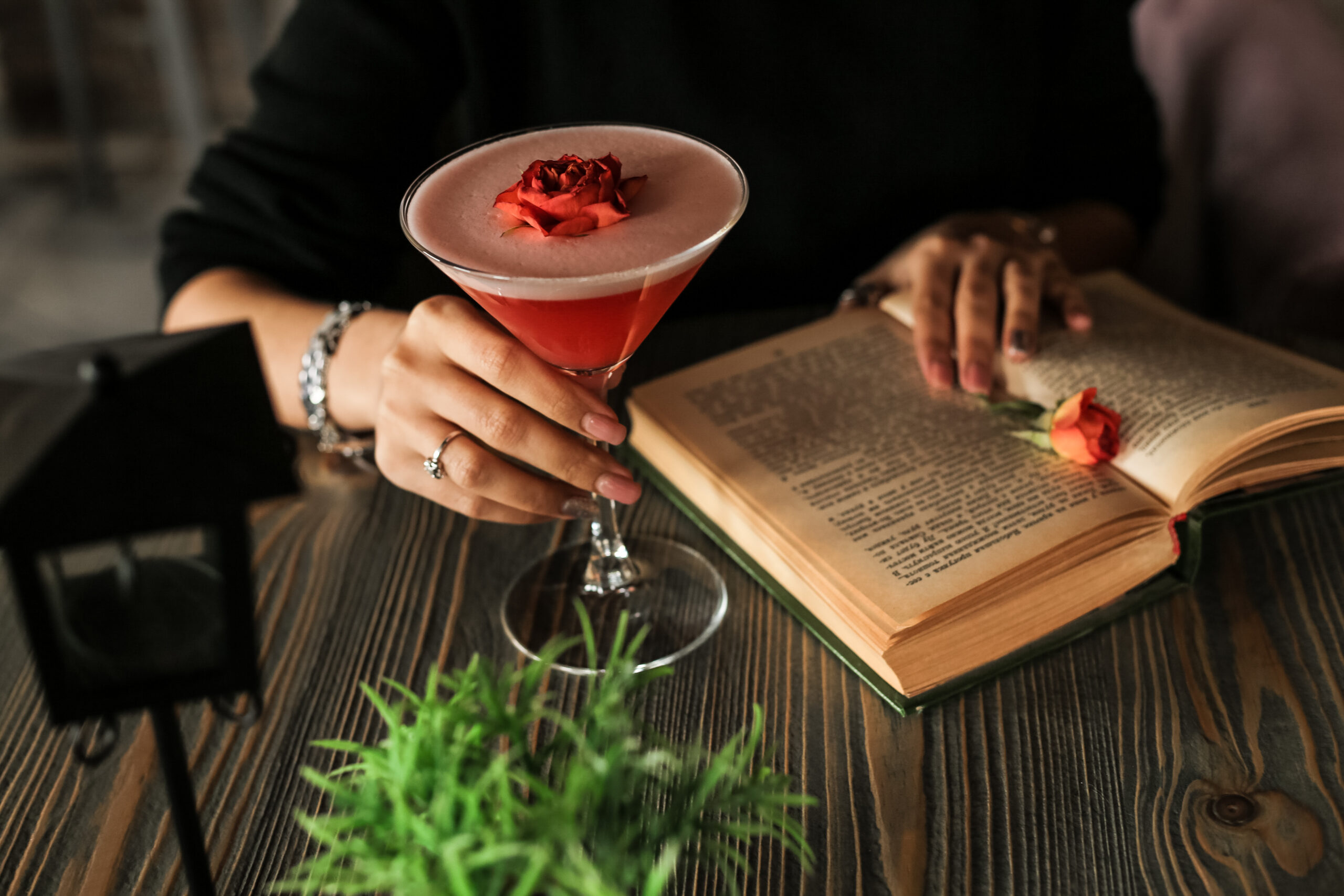 Raven bookstore and cocktail bar in Brentwood TN