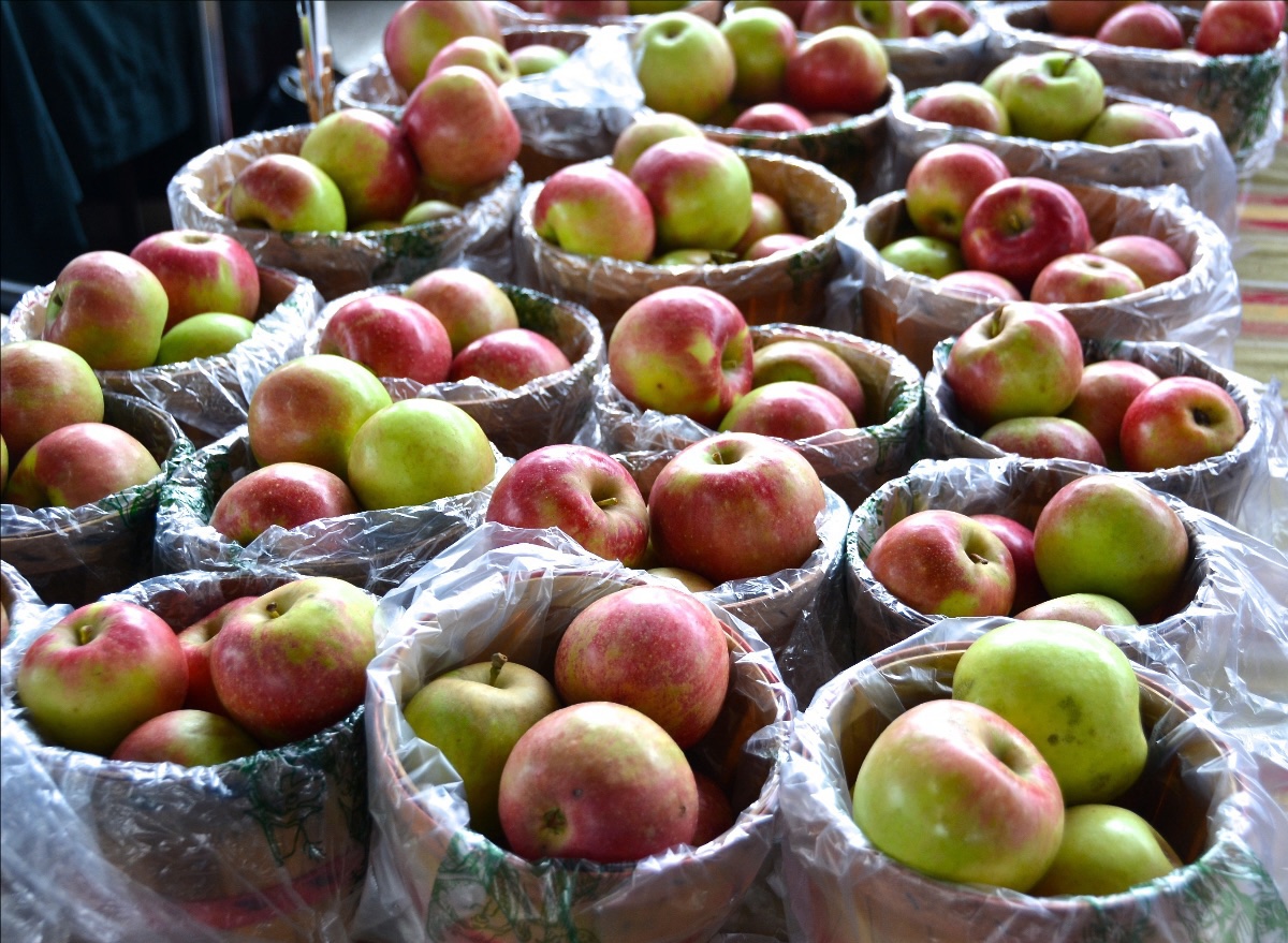 Franklin Farmers Market in Franklin, Tenn., at Franklin First United Methodist Church_Apples Franklin Farmers Market in Franklin, Tenn., at Franklin First United Methodist Church_Apples