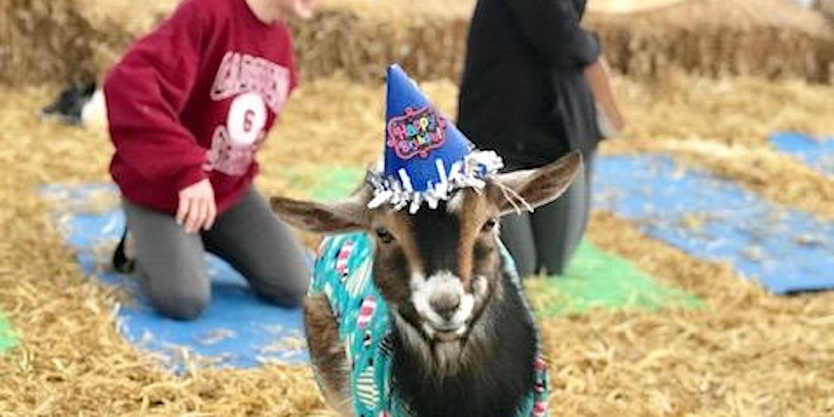 Goat Yoga Nashville- Almost New Year's Eve Class Nolensville, TN