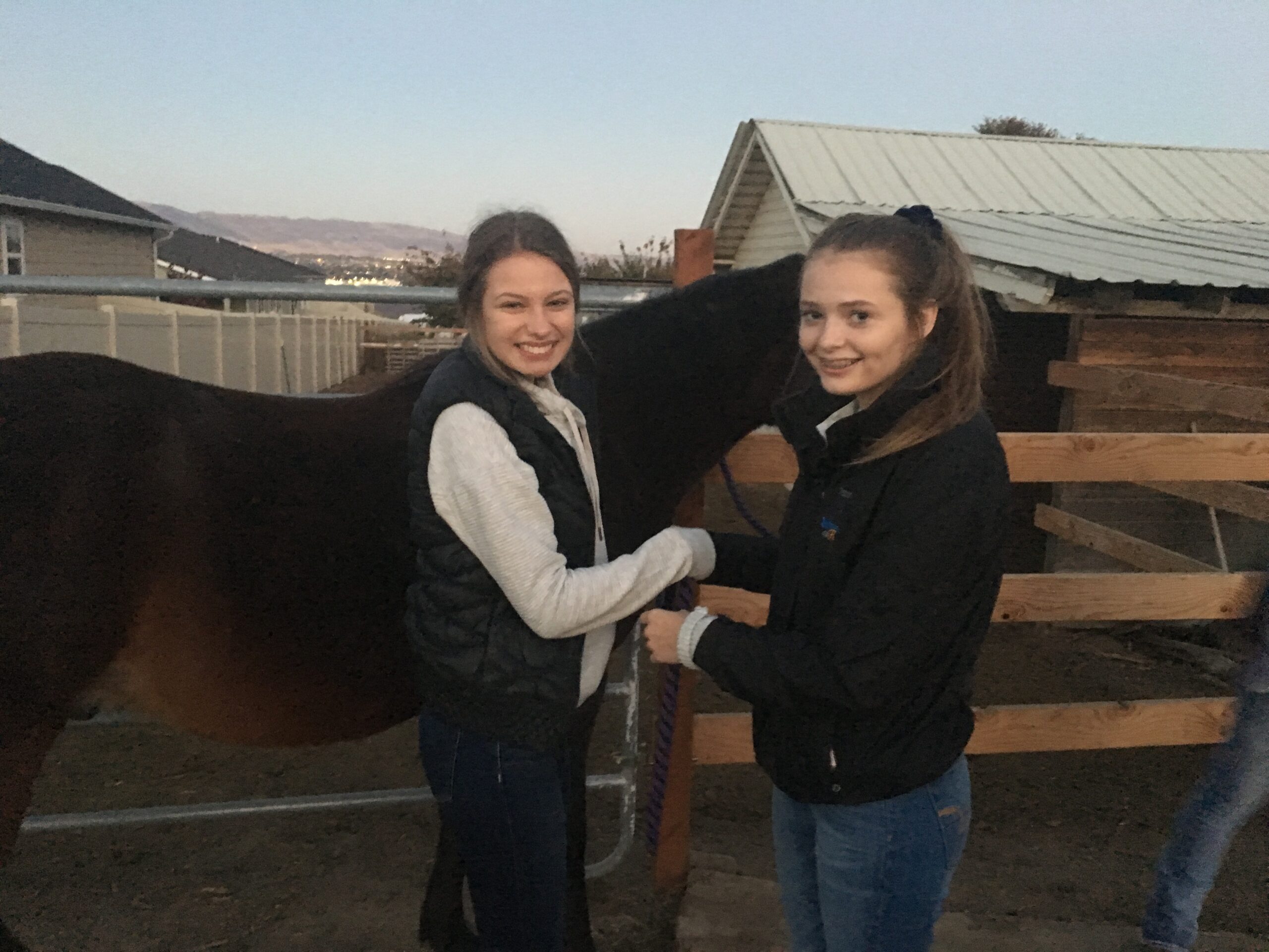 Hug A Horse Class at BellaReed Farm in Franklin, Tenn.